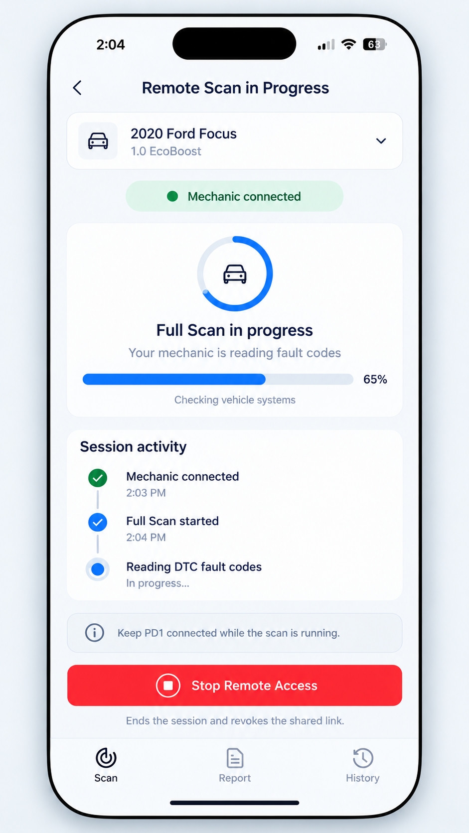Supplied Remote Scan reference showing mechanic connection and scan progress